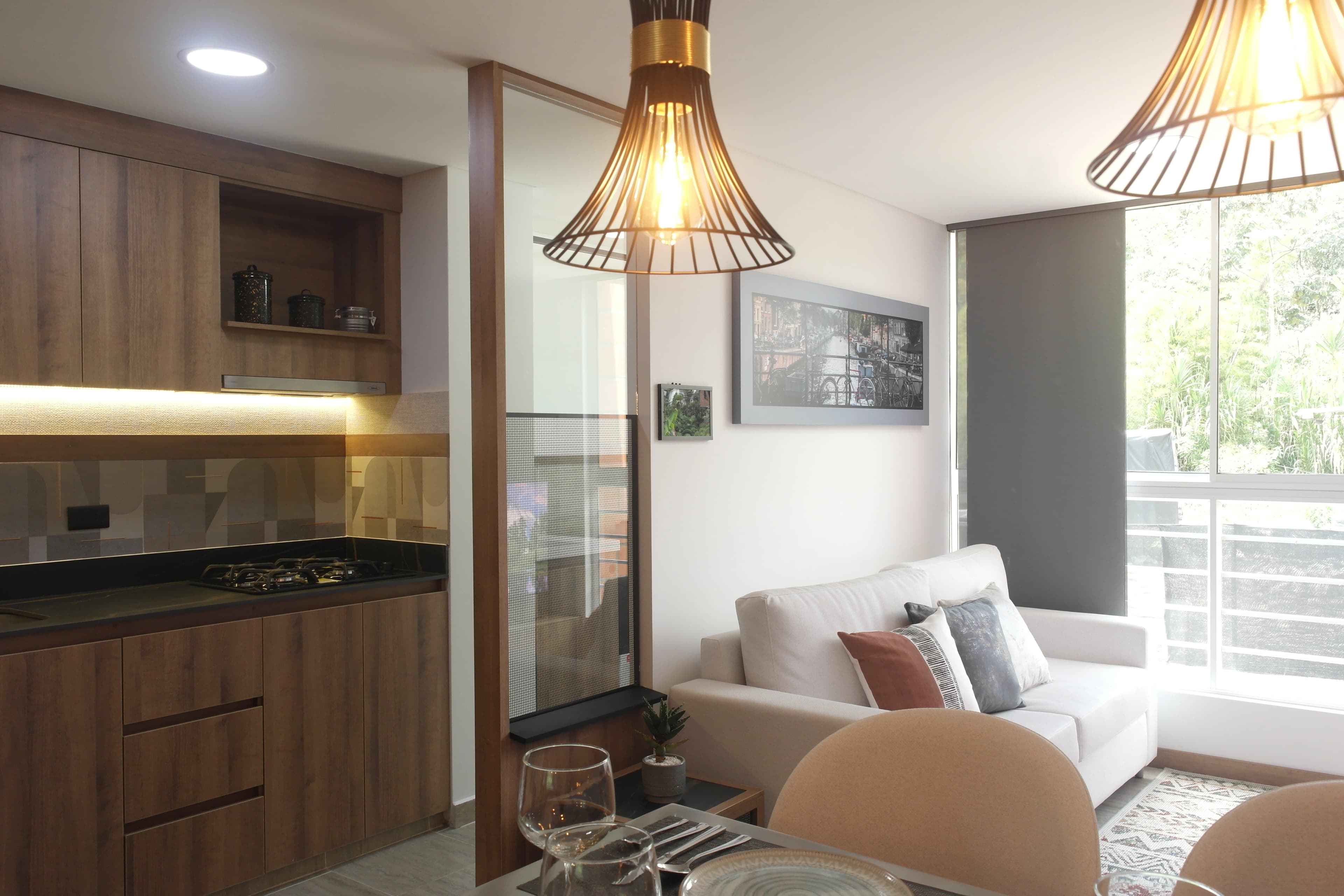 Proyecto Anaconas imagen 4