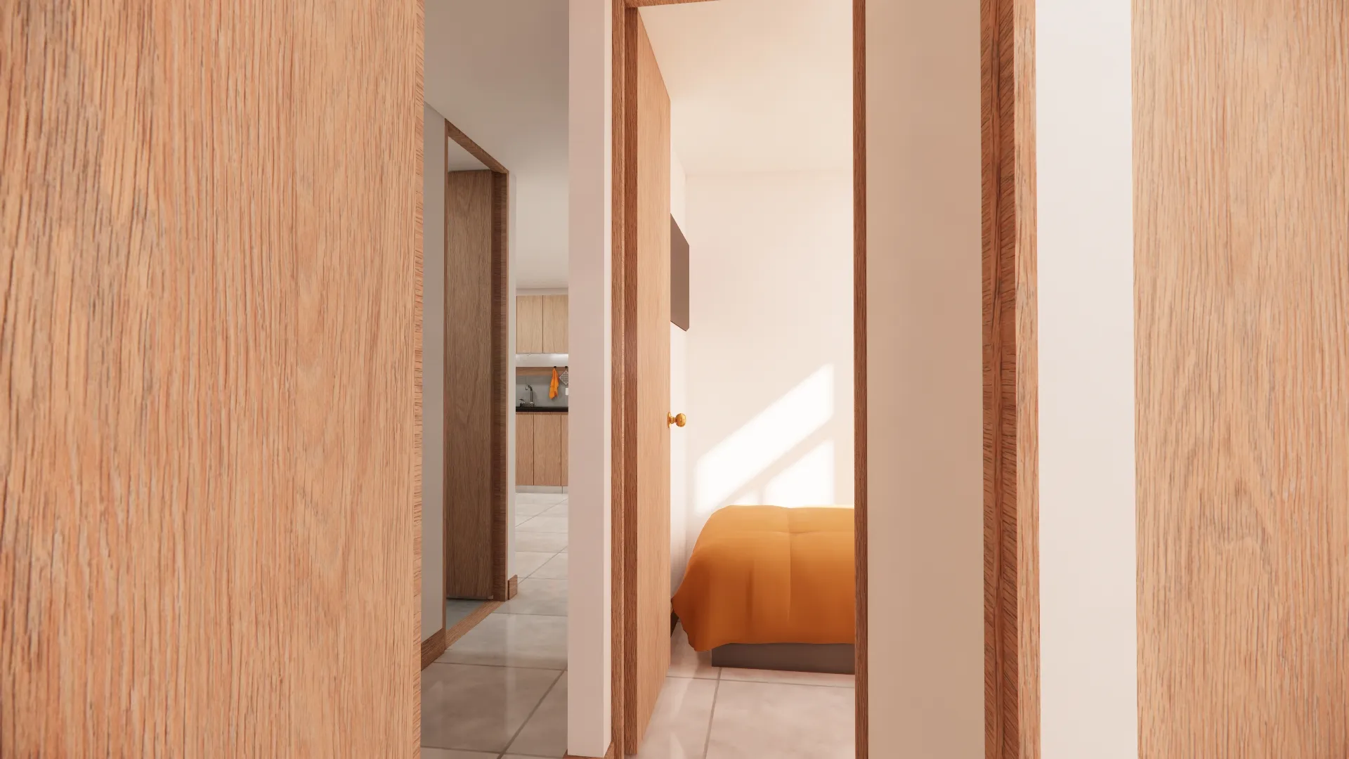 Proyecto Anaconas imagen 6